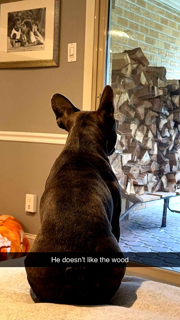 kylaayese image ~ Altpins