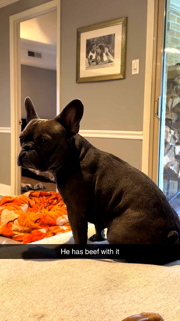 kylaayese image ~ Altpins