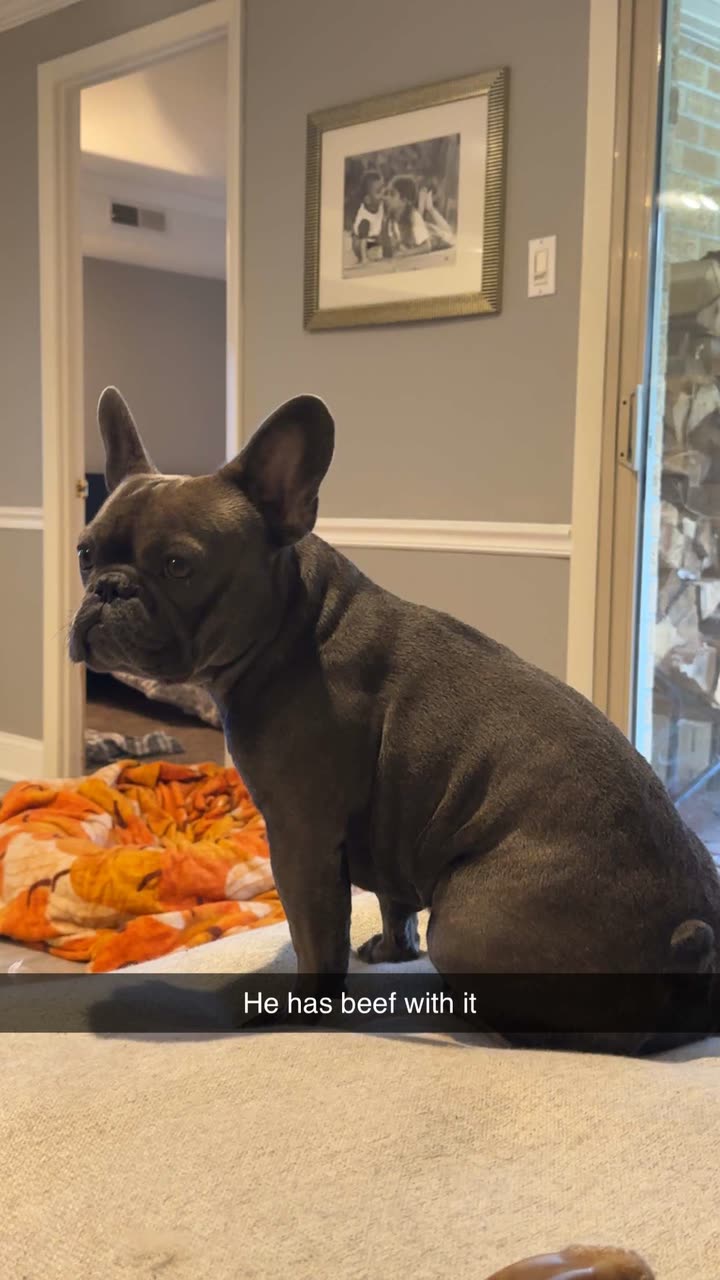 kylaayese snapchat image archive image