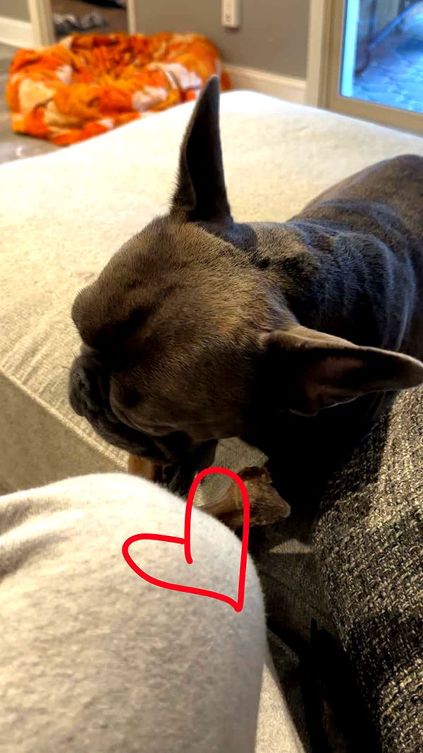 kylaayese image ~ Altpins