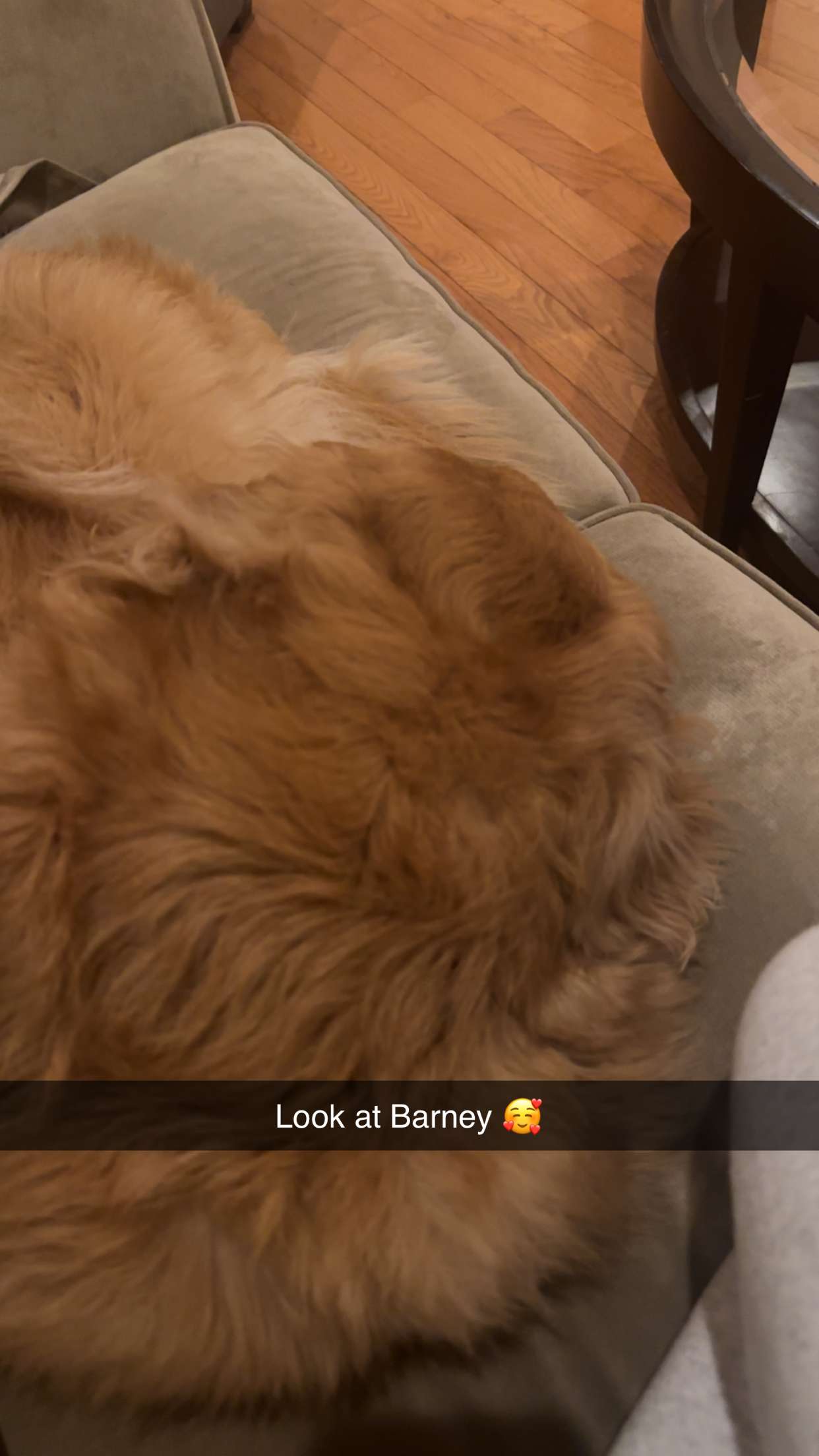 kylaayese snapchat image archive image