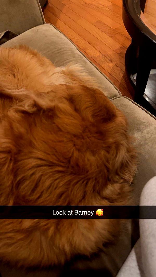 kylaayese image ~ Altpins