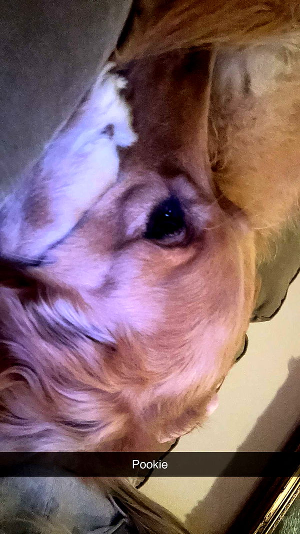 kylaayese image ~ Altpins