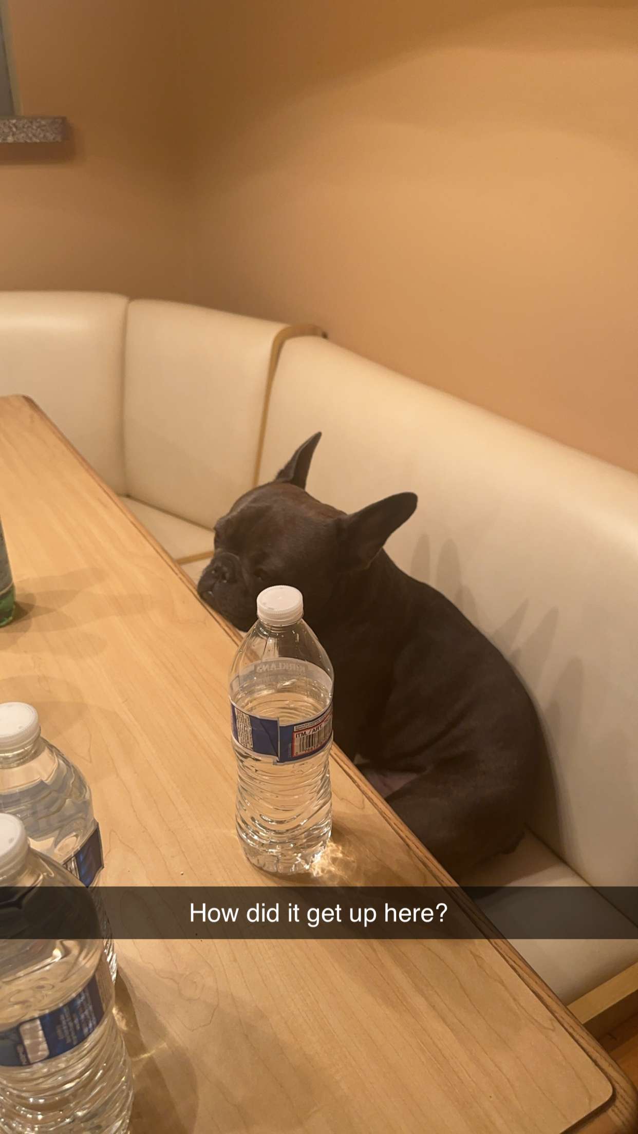 kylaayese snapchat image archive image