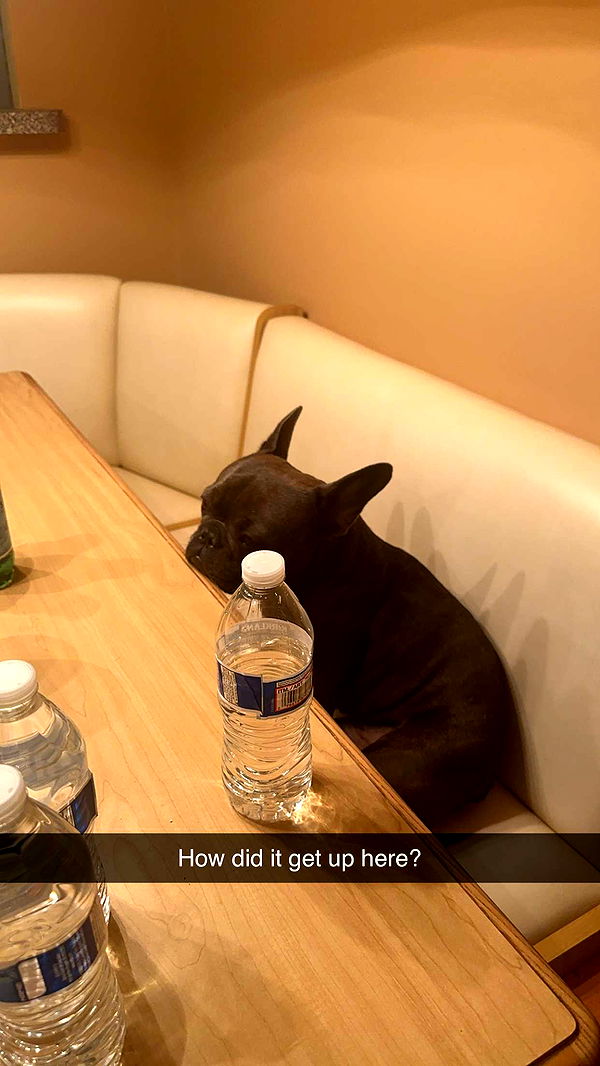 kylaayese image ~ Altpins