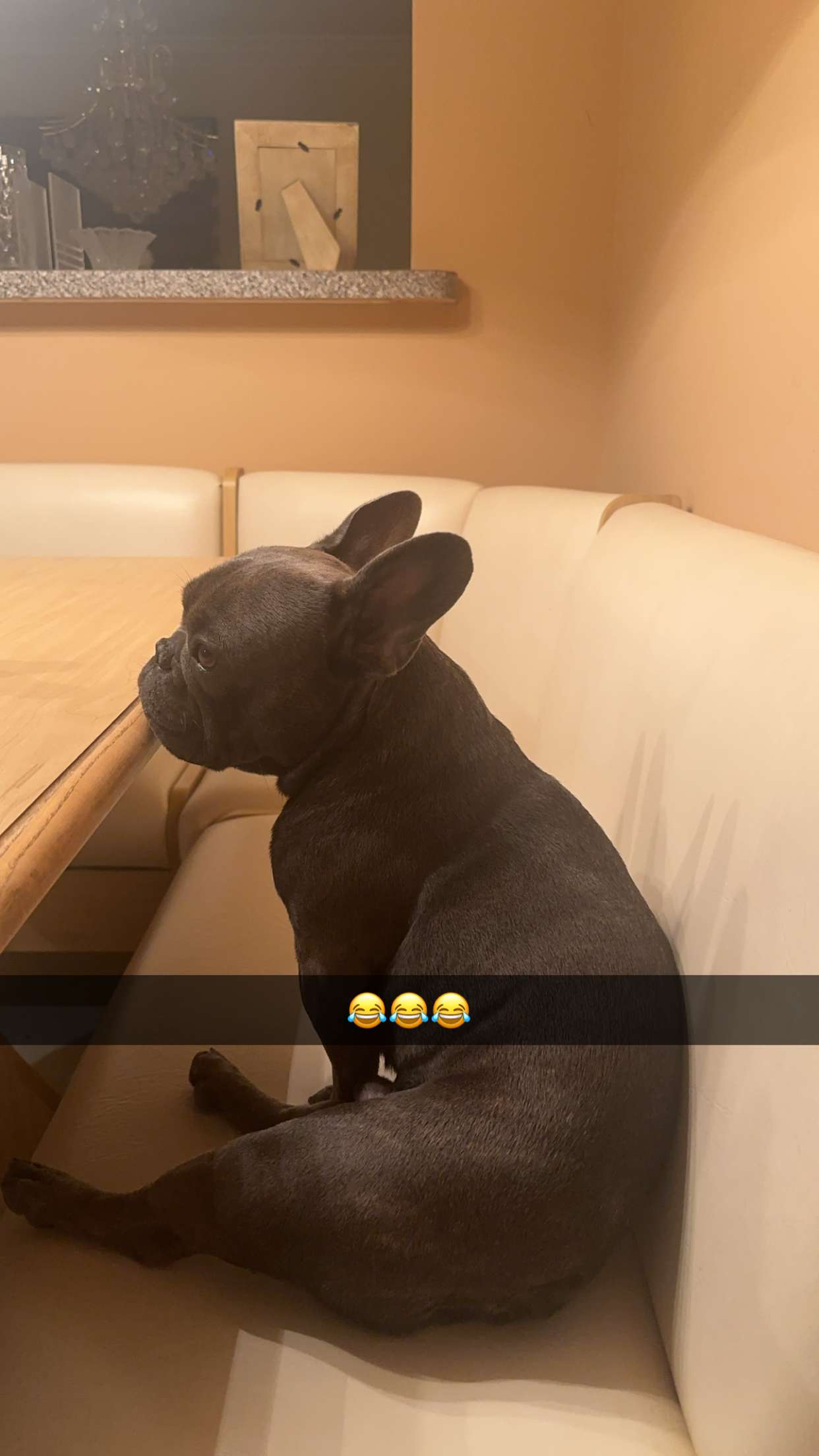 kylaayese snapchat image archive image