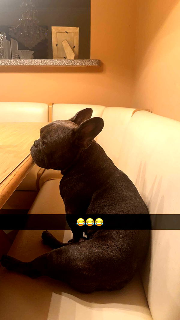 kylaayese image ~ Altpins