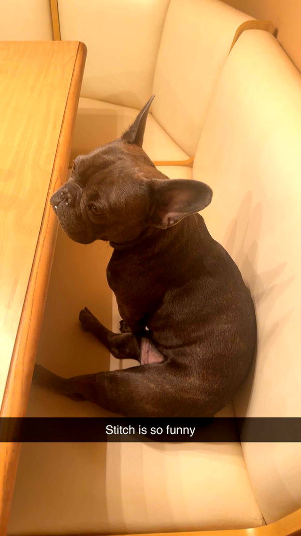 kylaayese image ~ Altpins