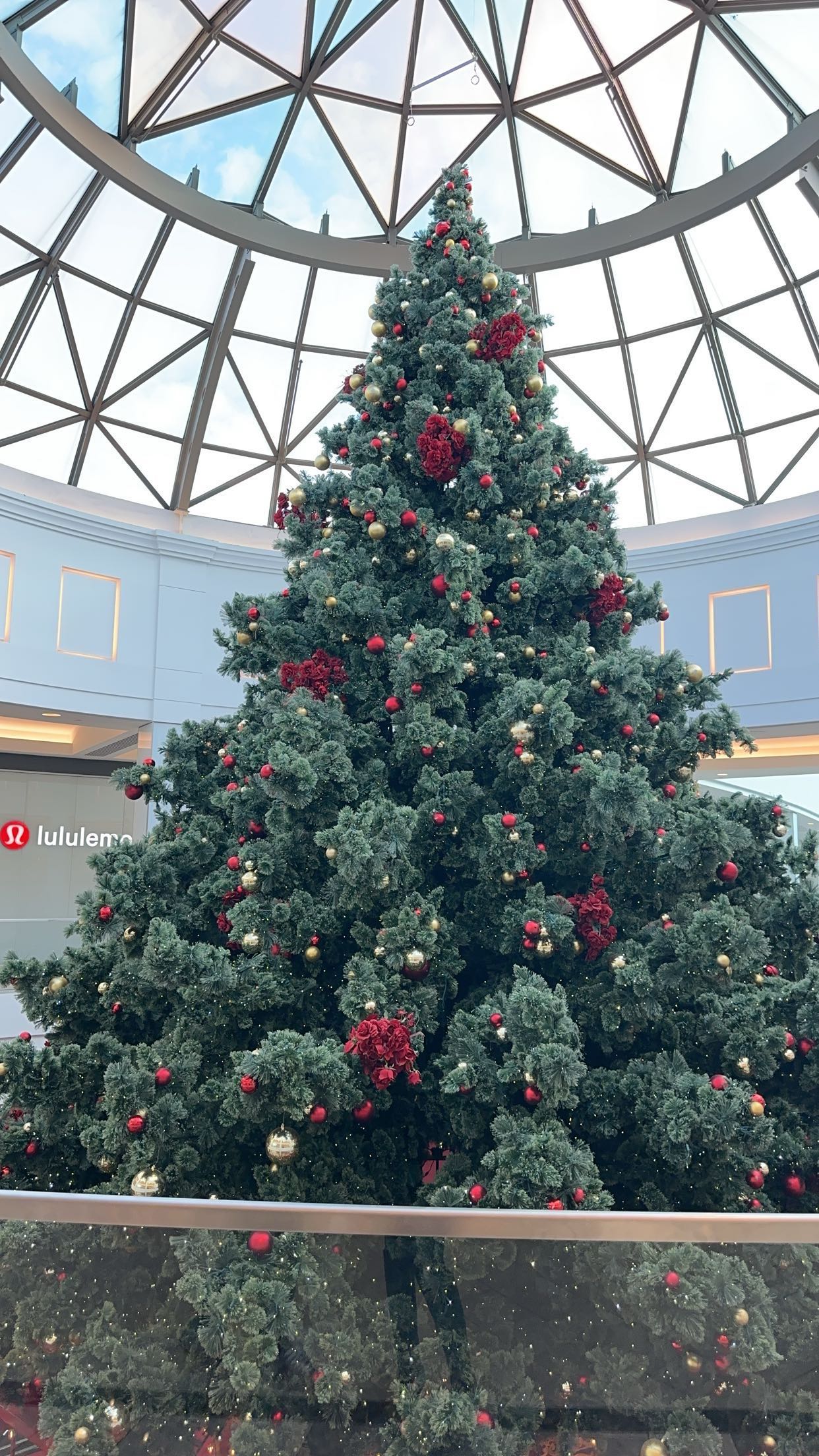 kylaayese snapchat image archive image