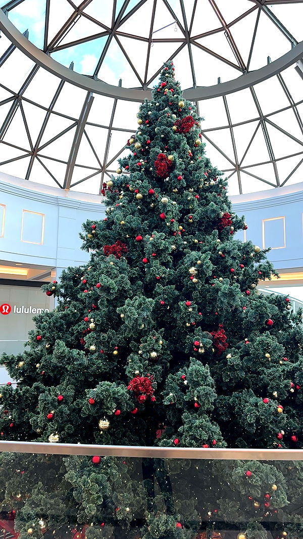 kylaayese image ~ Altpins