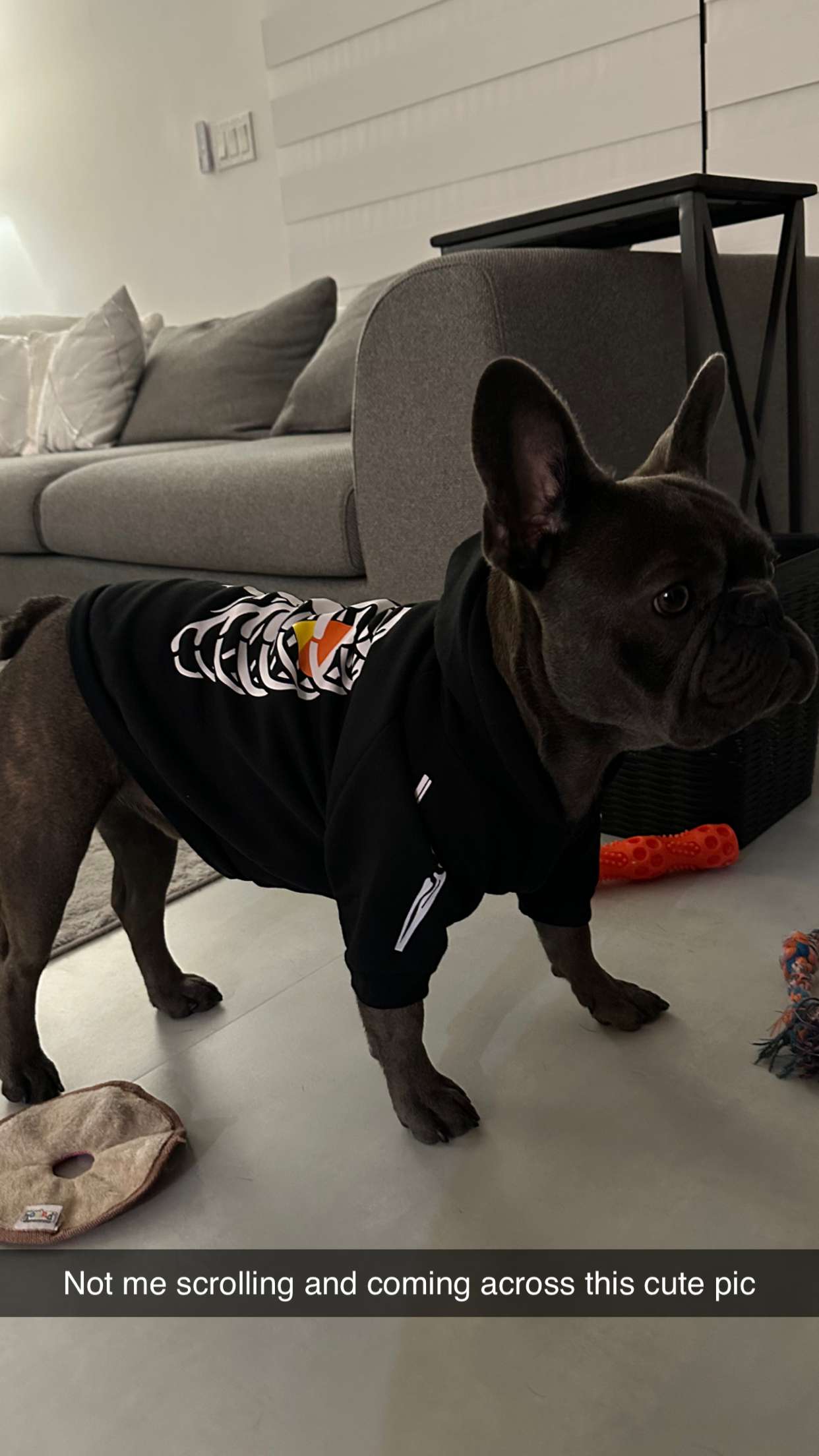 kylaayese snapchat image archive image