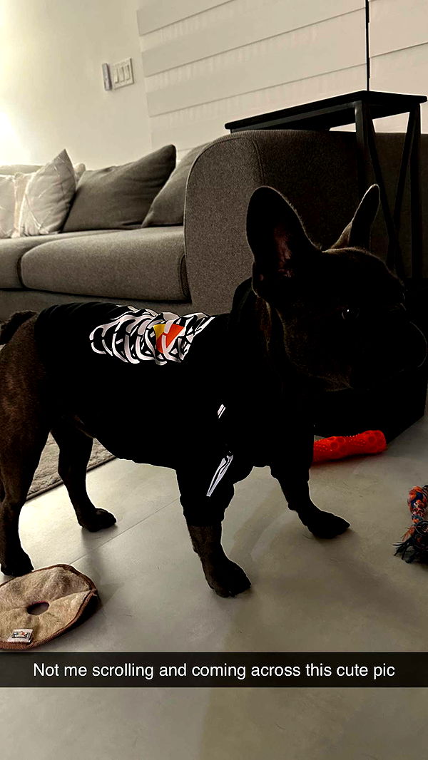 kylaayese image ~ Altpins