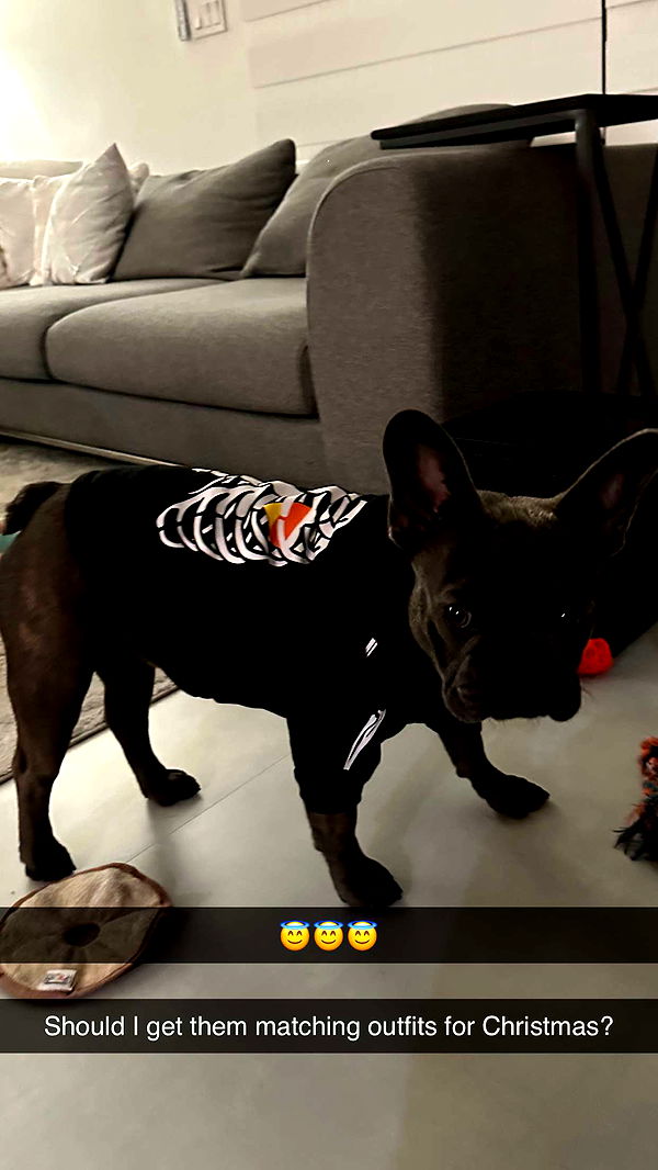 kylaayese image ~ Altpins