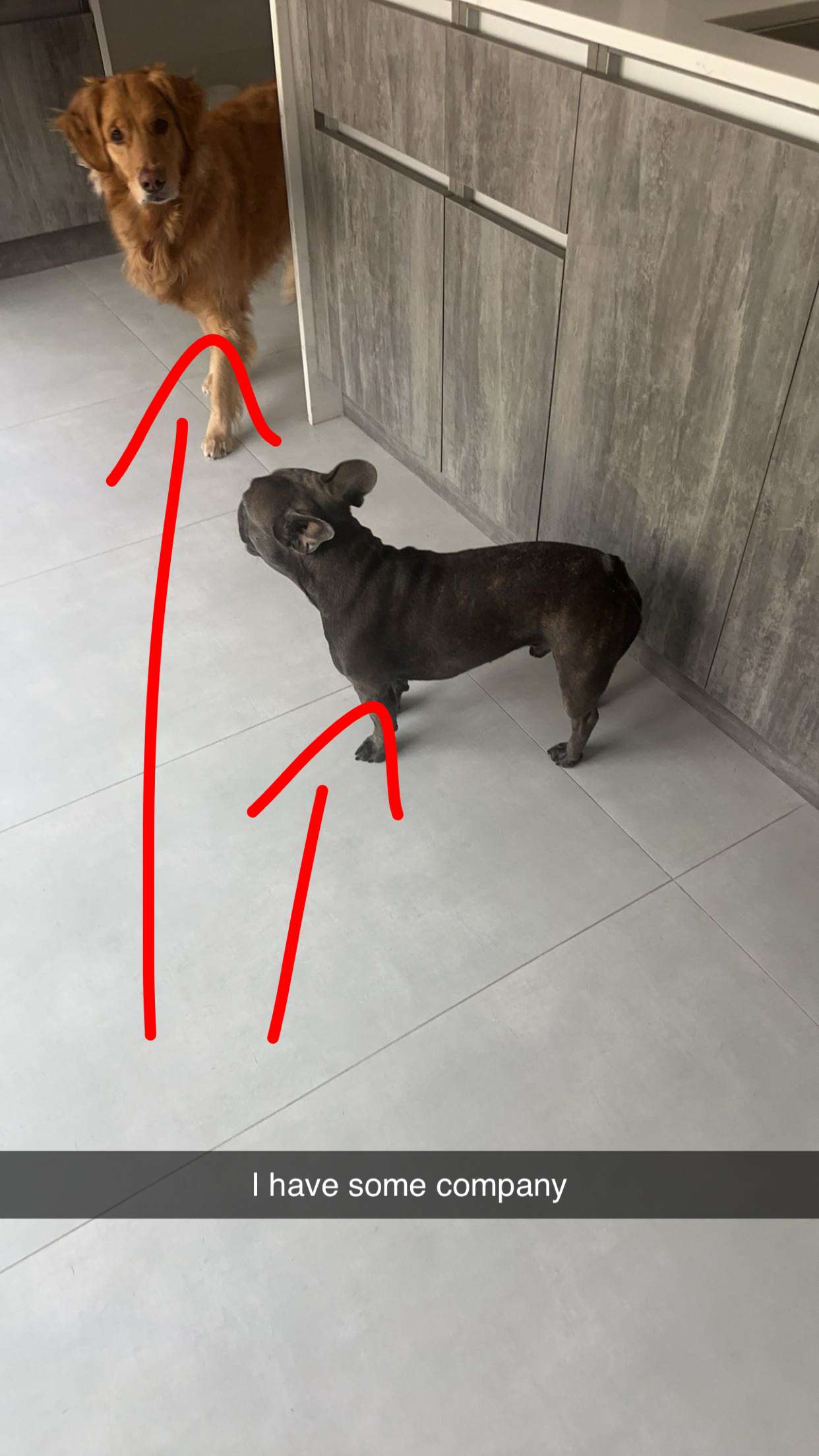 kylaayese snapchat image archive image