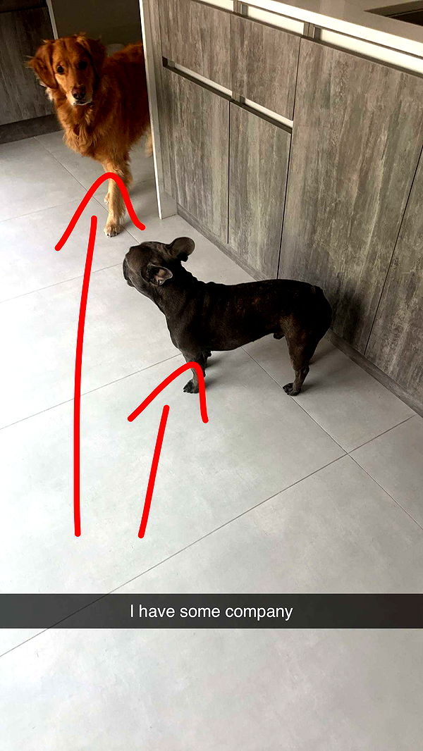 kylaayese image ~ Altpins