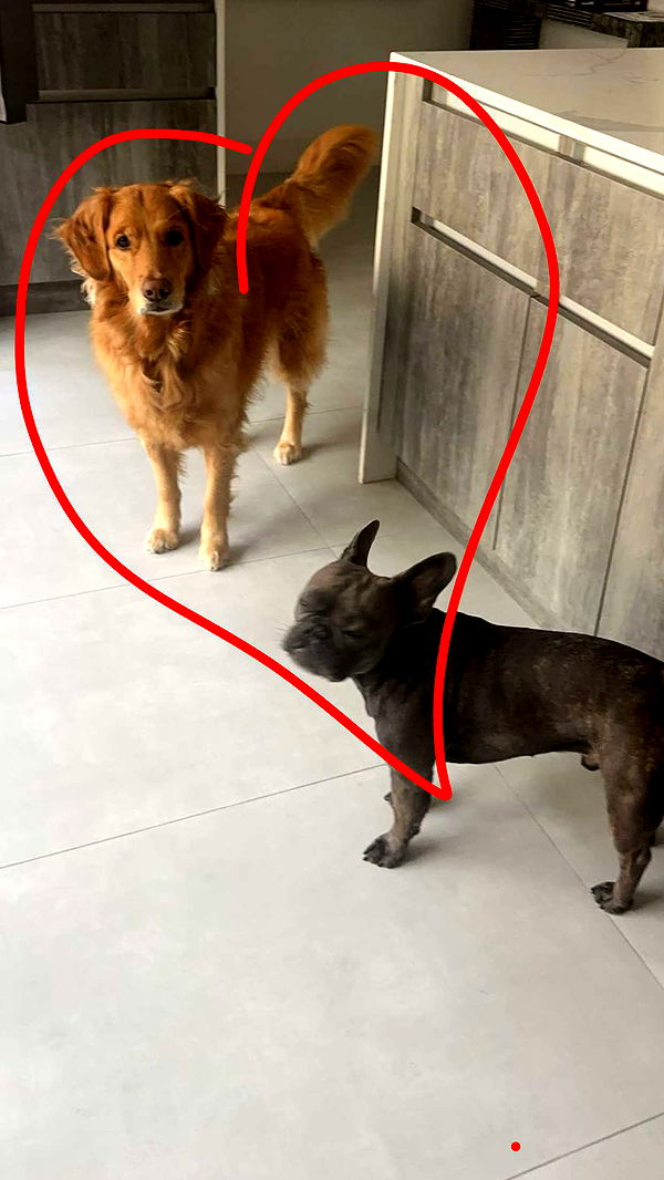 kylaayese image ~ Altpins