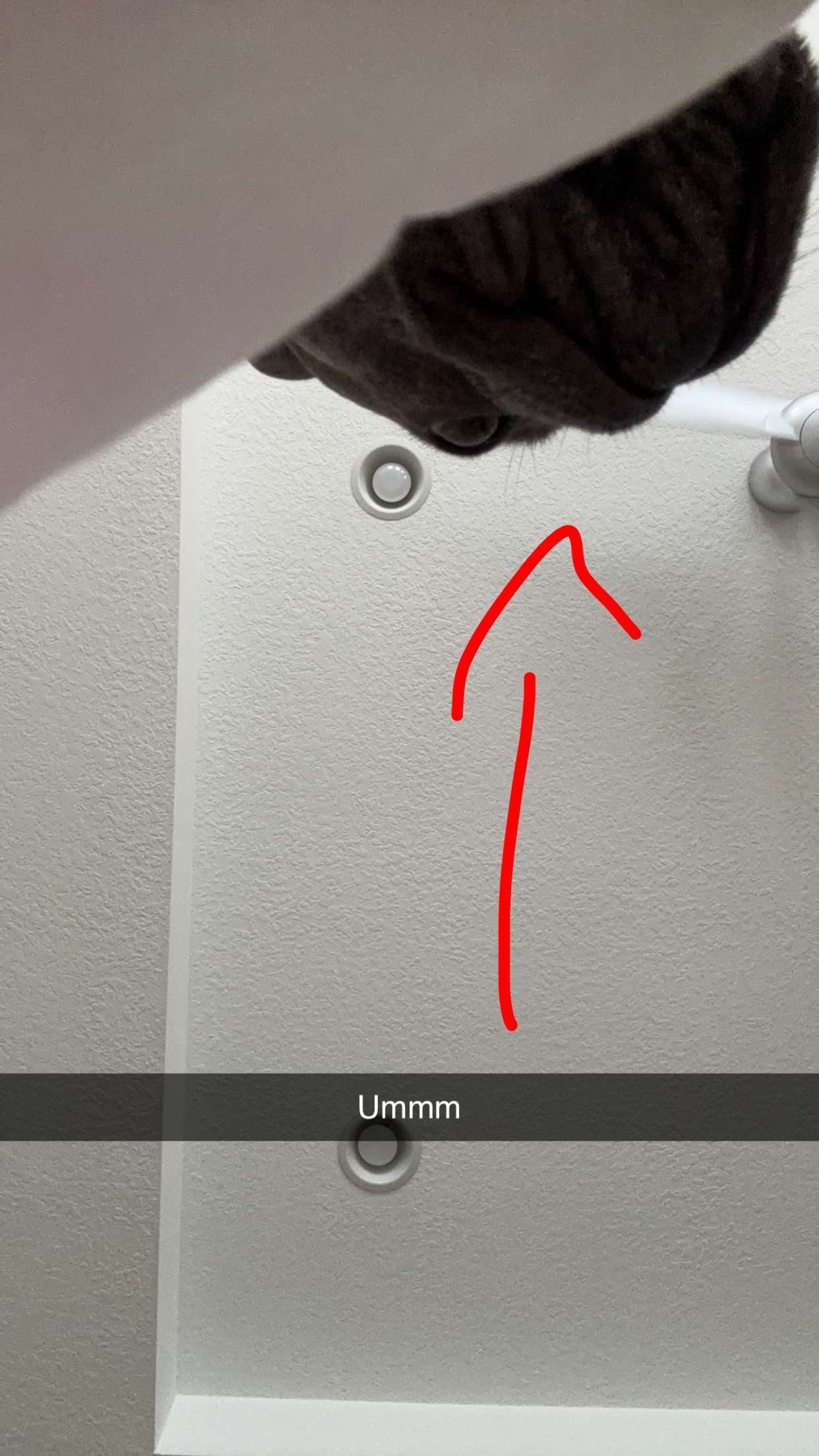 kylaayese snapchat image archive image