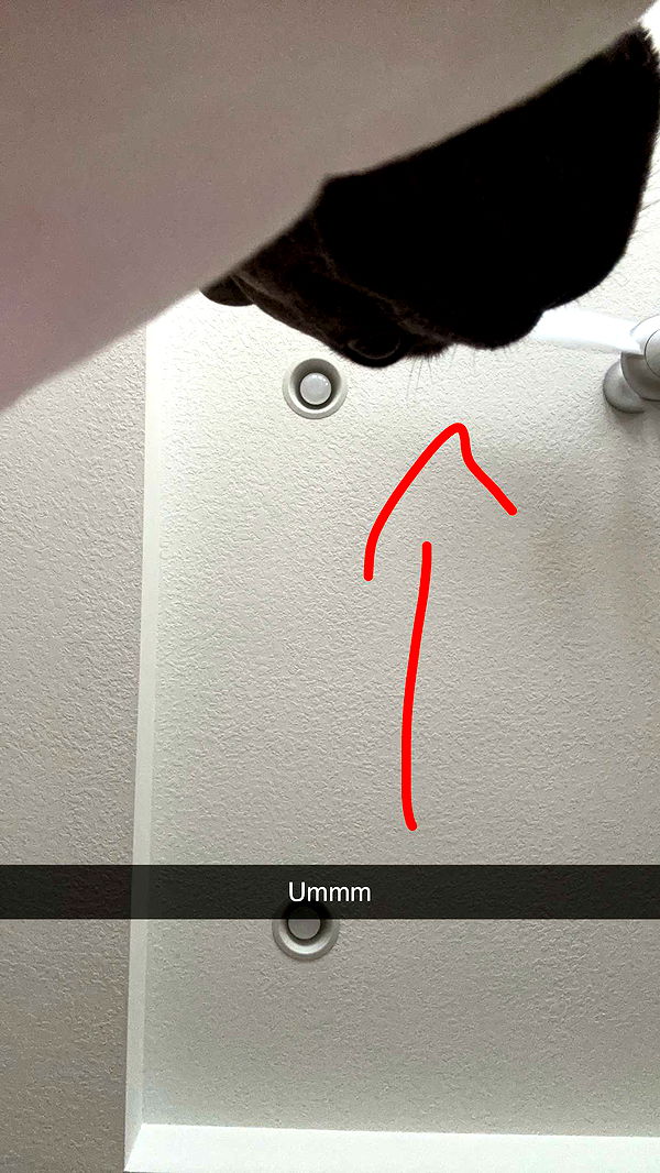 kylaayese image ~ Altpins