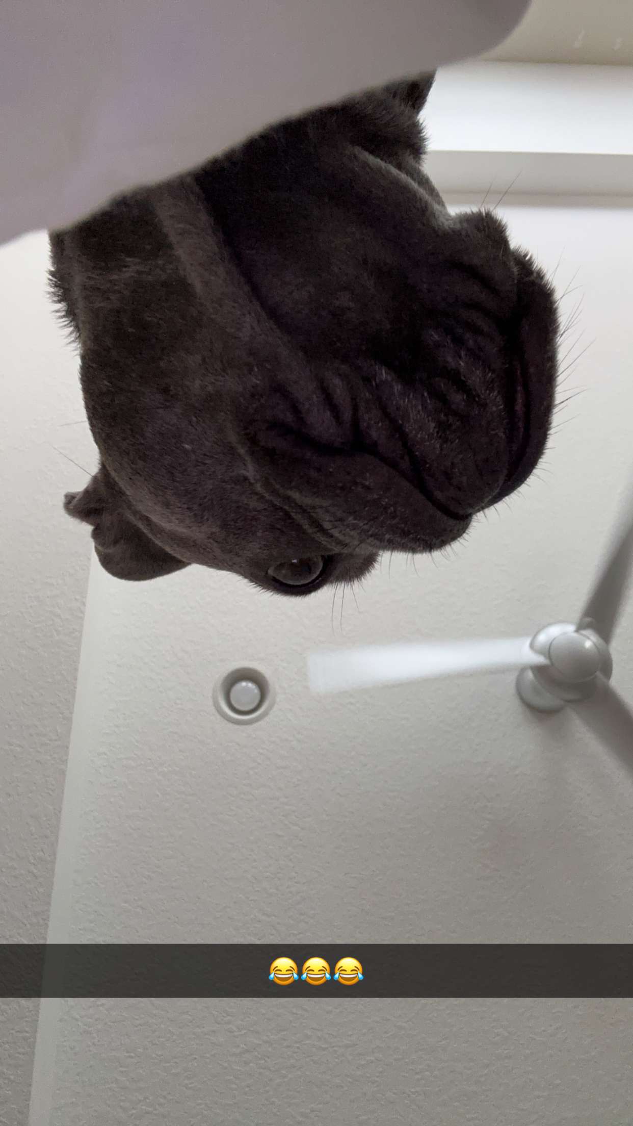 kylaayese snapchat image archive image