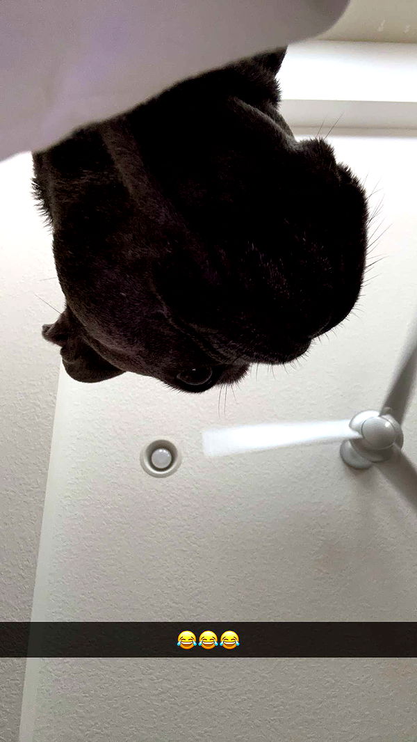 kylaayese image ~ Altpins