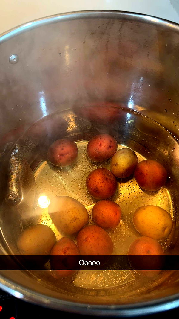 kylaayese image ~ Altpins