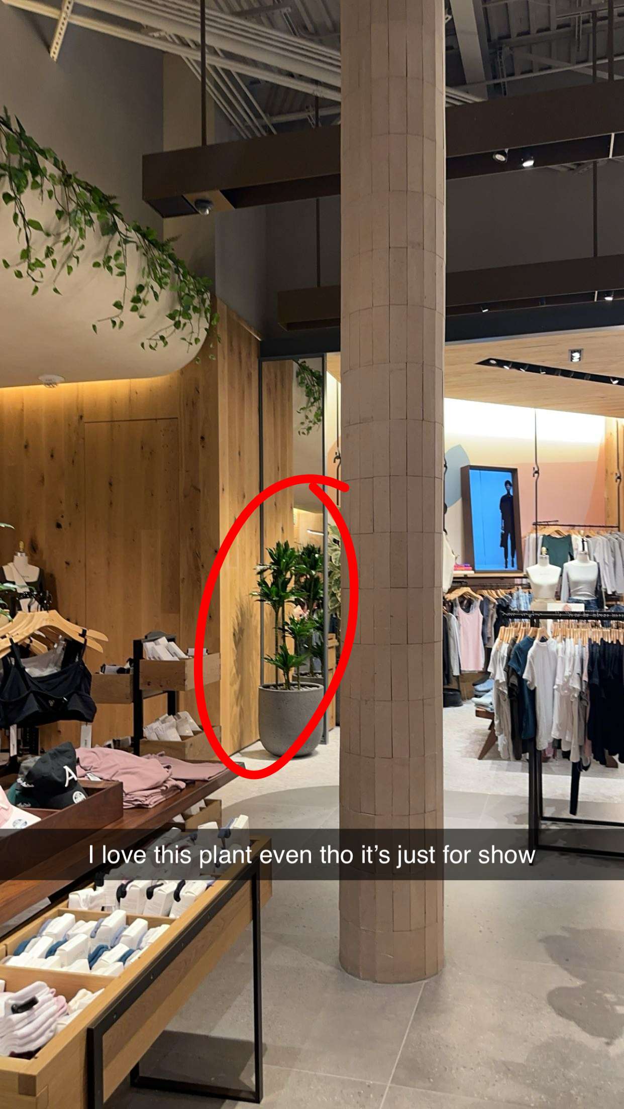 kylaayese snapchat image archive image