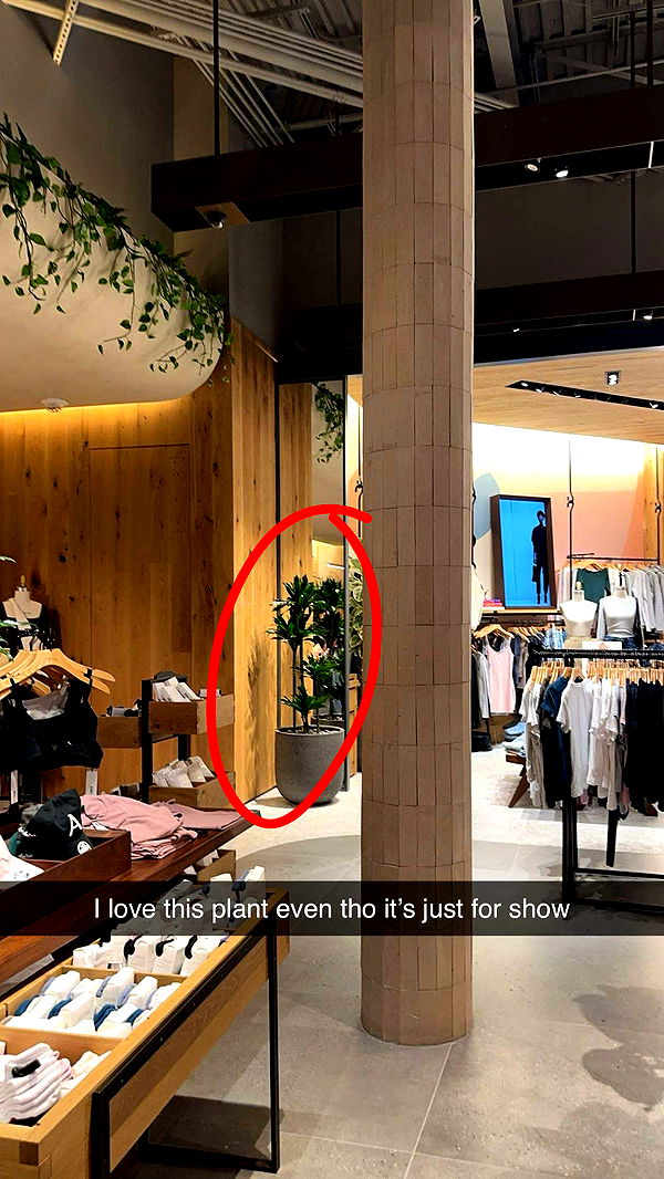 kylaayese image ~ Altpins