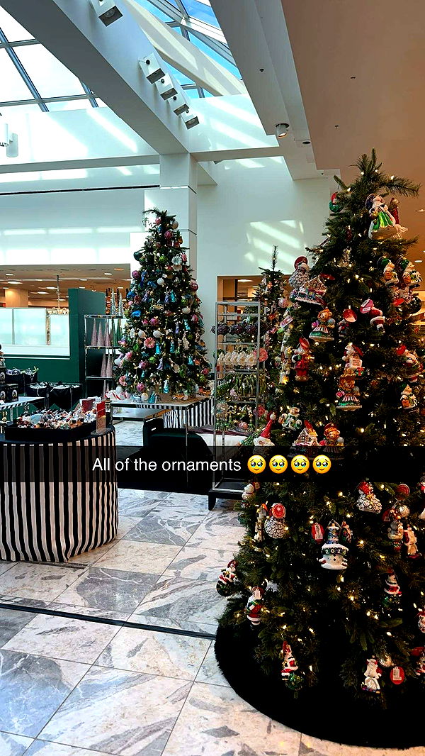 kylaayese image ~ Altpins