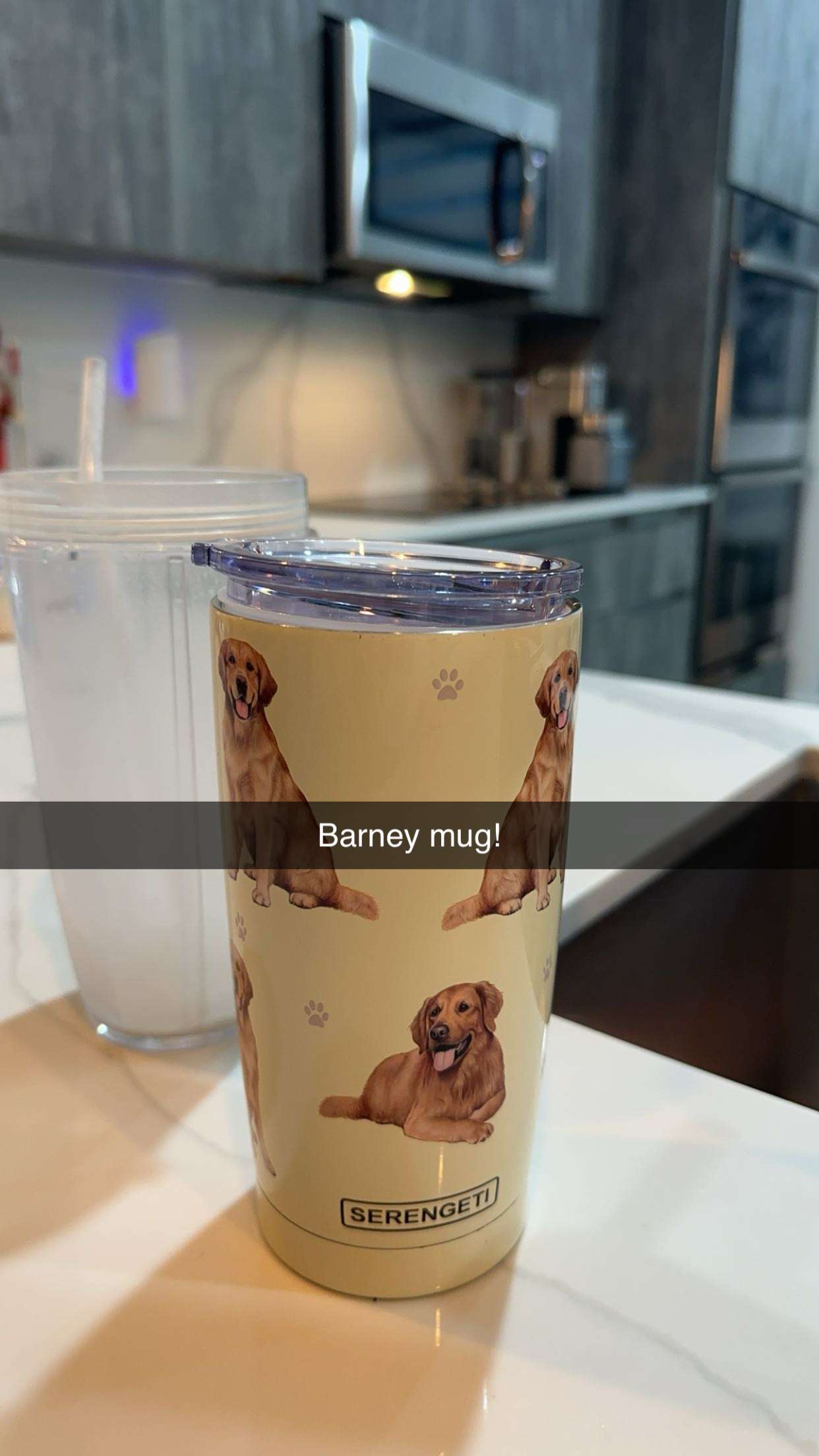 kylaayese snapchat image archive image