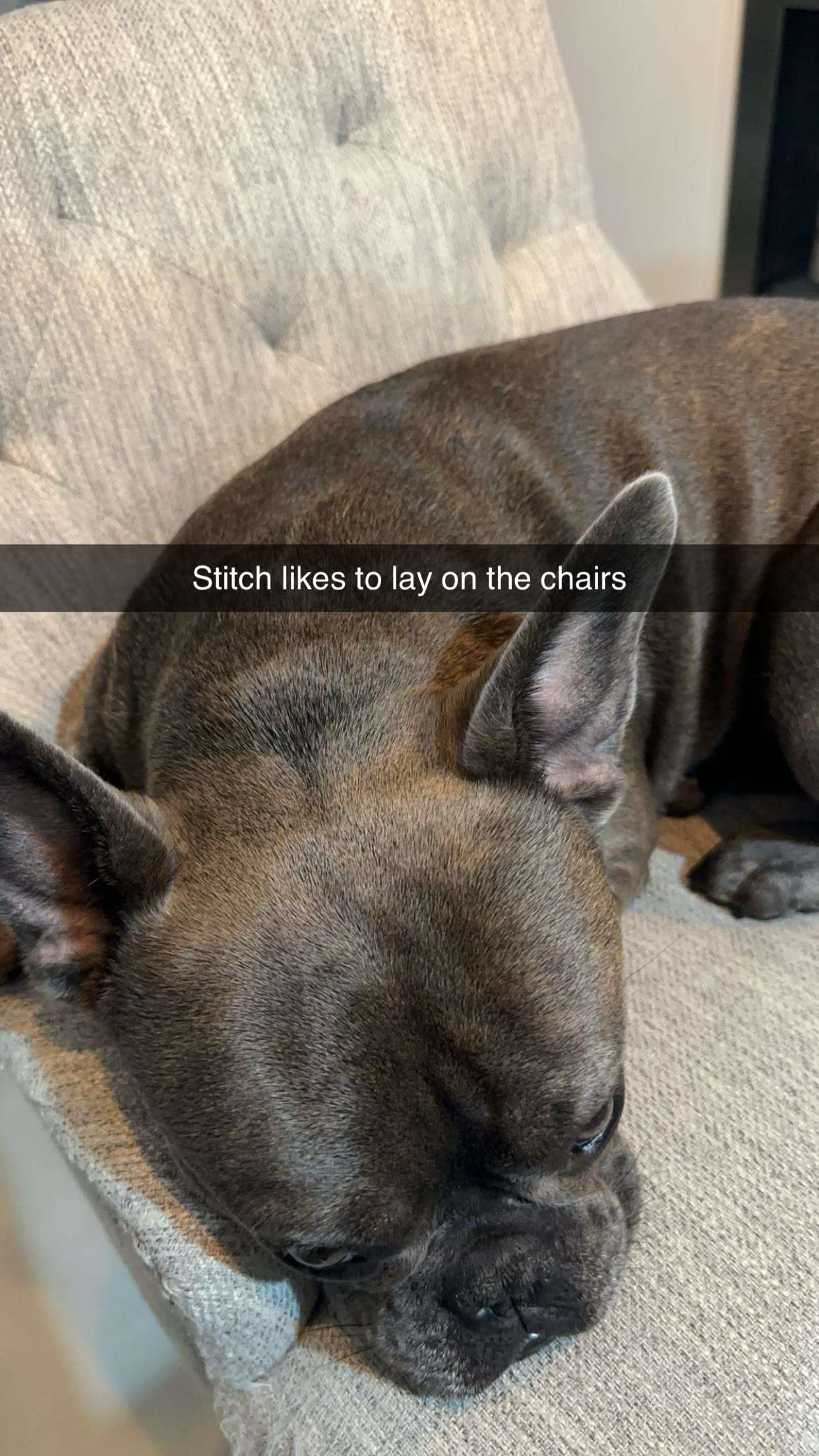 kylaayese snapchat image archive image