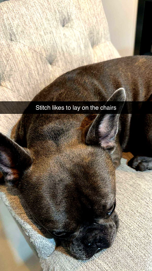 kylaayese image ~ Altpins