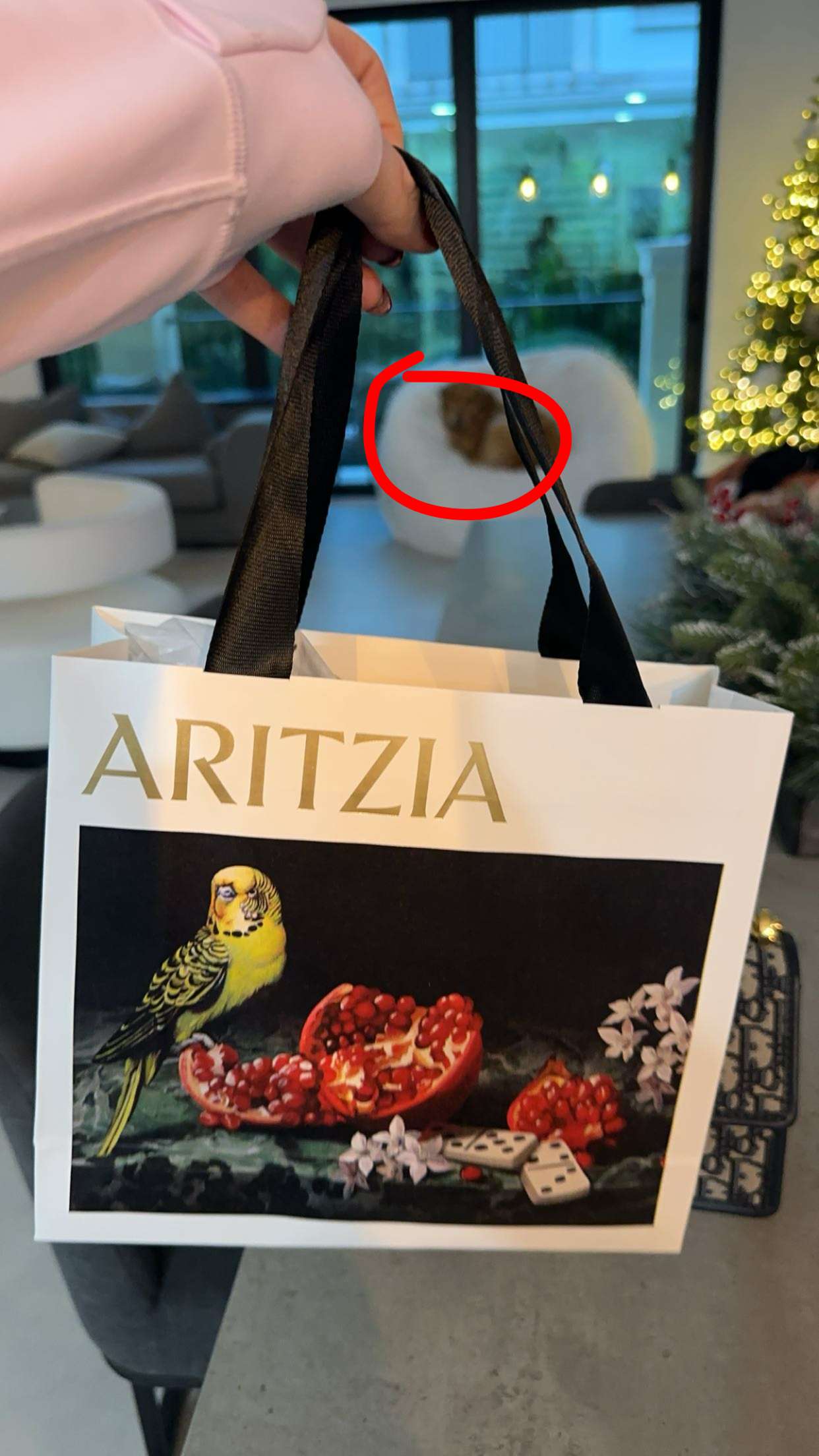 kylaayese snapchat image archive image