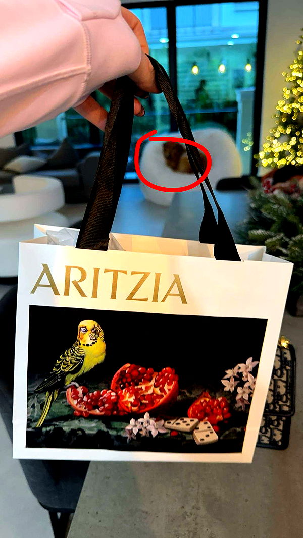 kylaayese image ~ Altpins