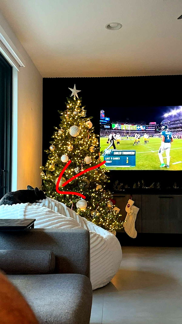 kylaayese image ~ Altpins