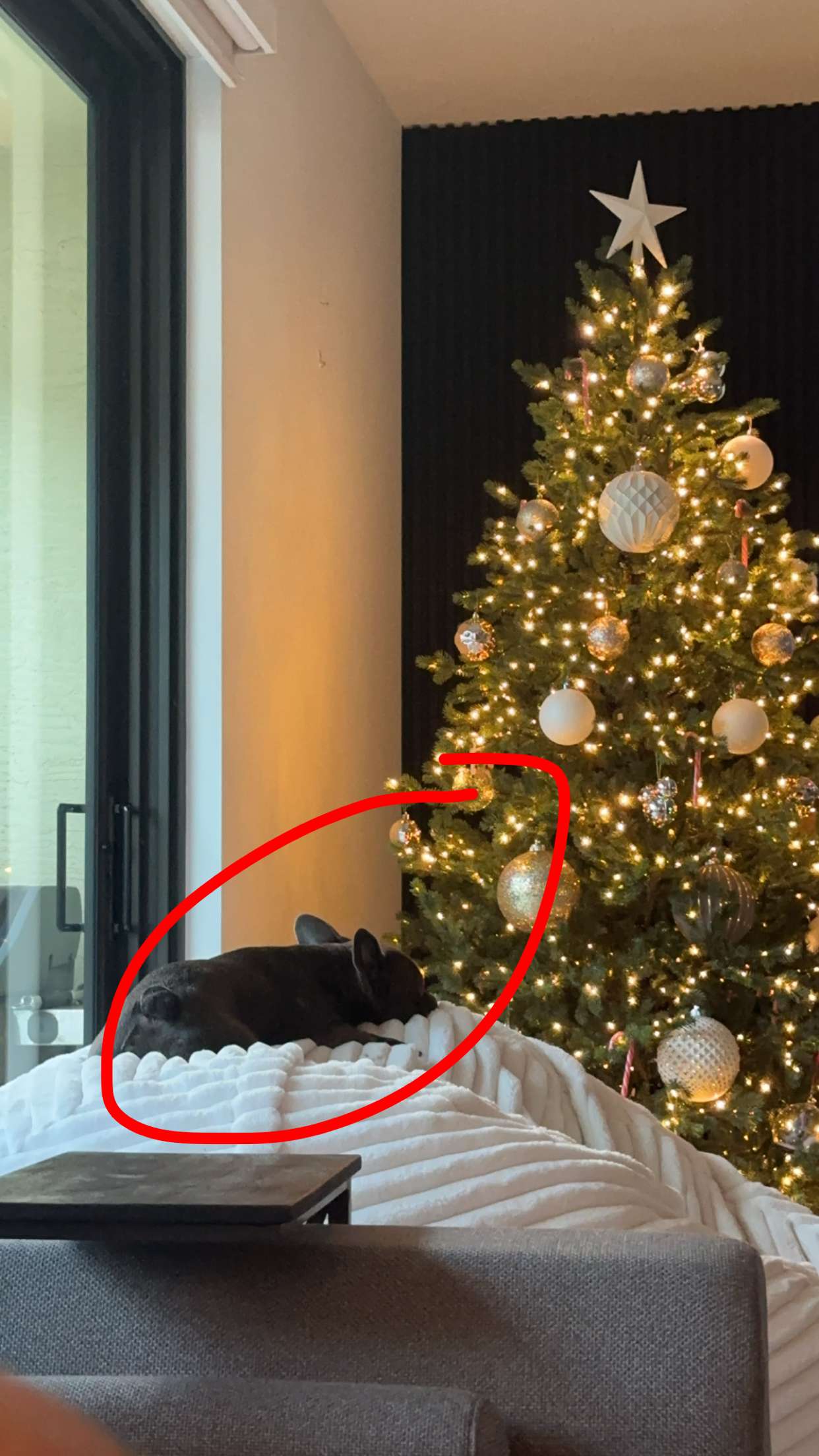 kylaayese snapchat image archive image