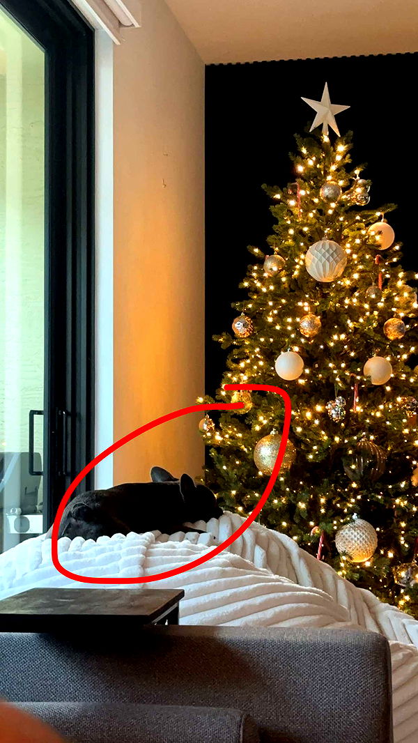 kylaayese image ~ Altpins