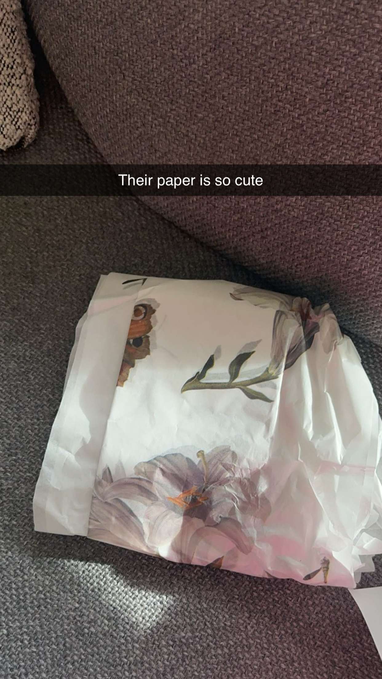 kylaayese snapchat image archive image