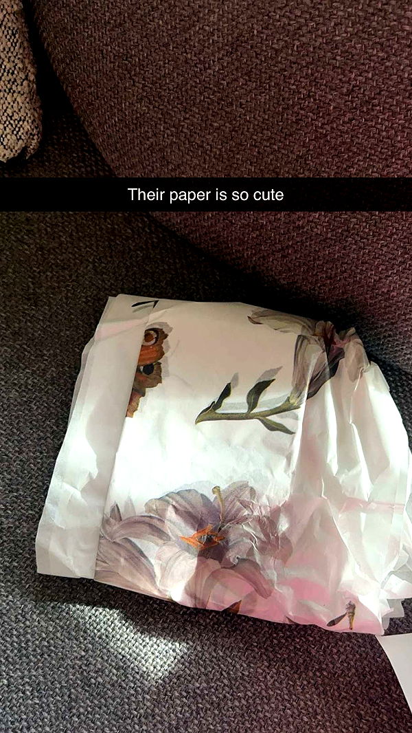 kylaayese image ~ Altpins