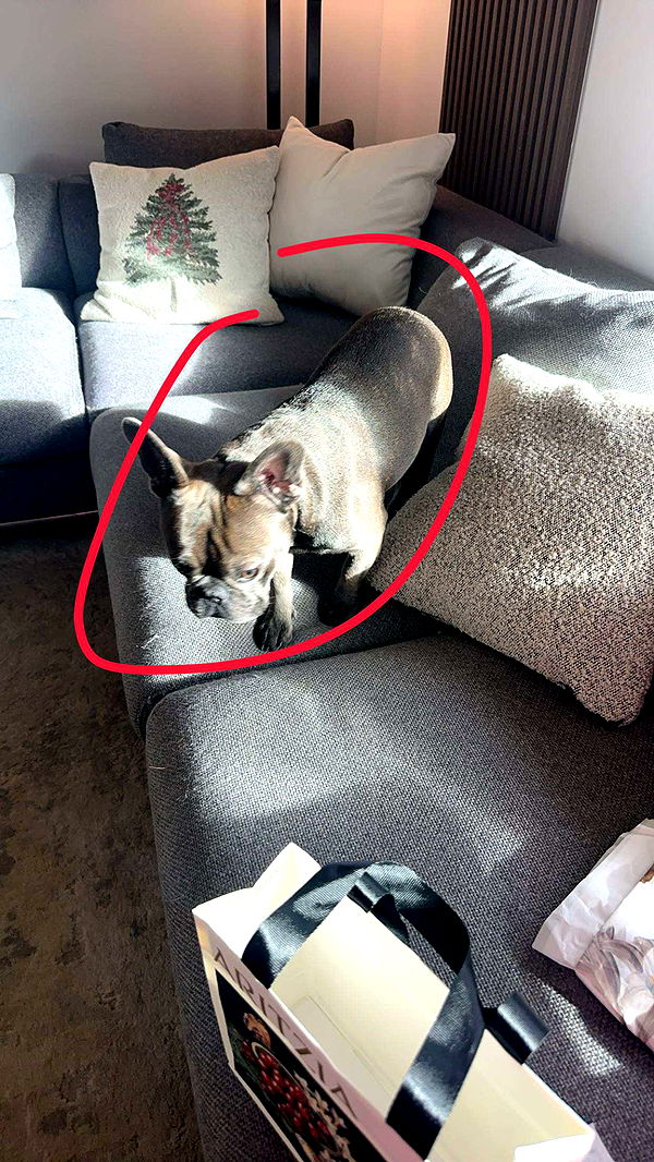 kylaayese image ~ Altpins