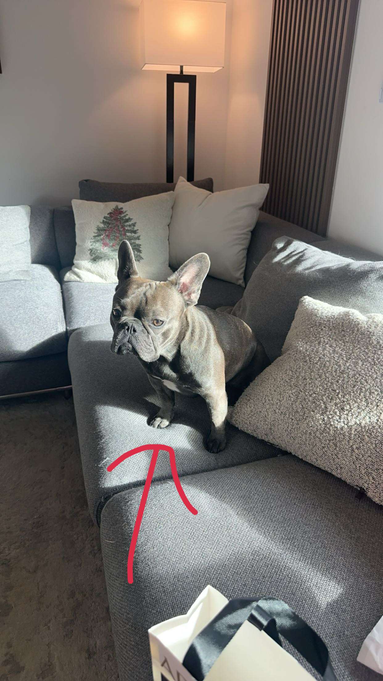 kylaayese snapchat image archive image