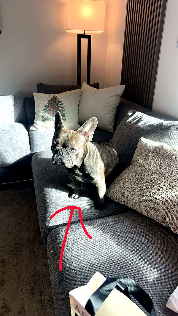 kylaayese image ~ Altpins