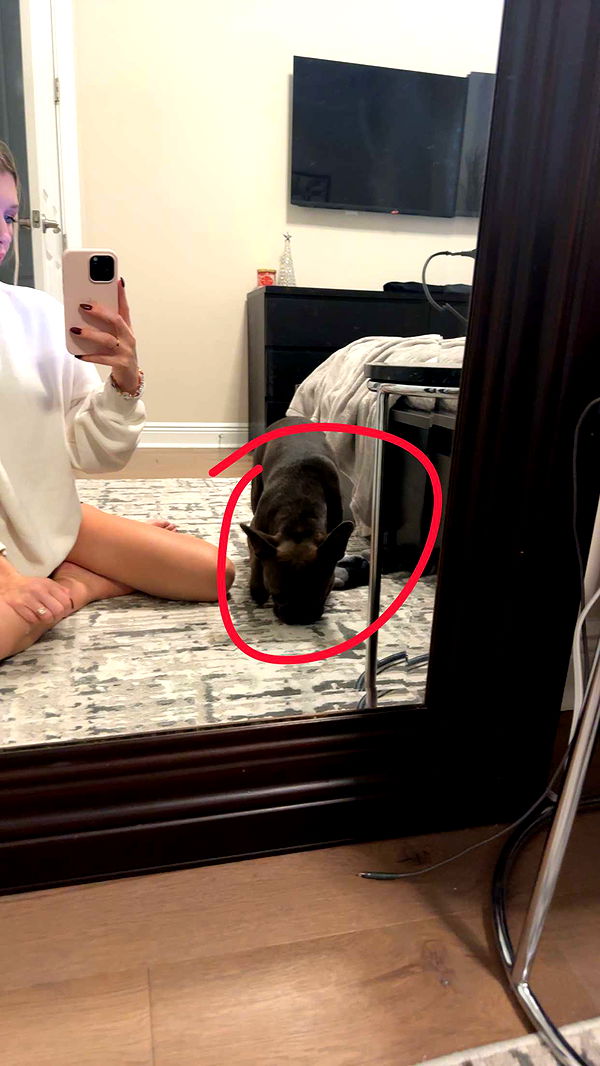 kylaayese image ~ Altpins