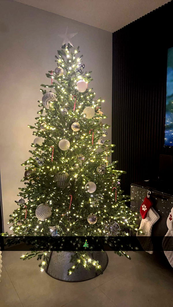 kylaayese image ~ Altpins