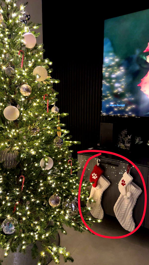 kylaayese image ~ Altpins