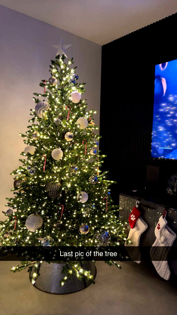 kylaayese image ~ Altpins