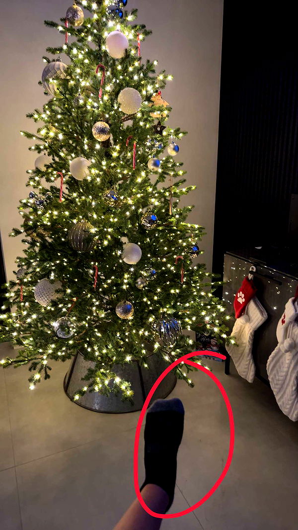 kylaayese image ~ Altpins