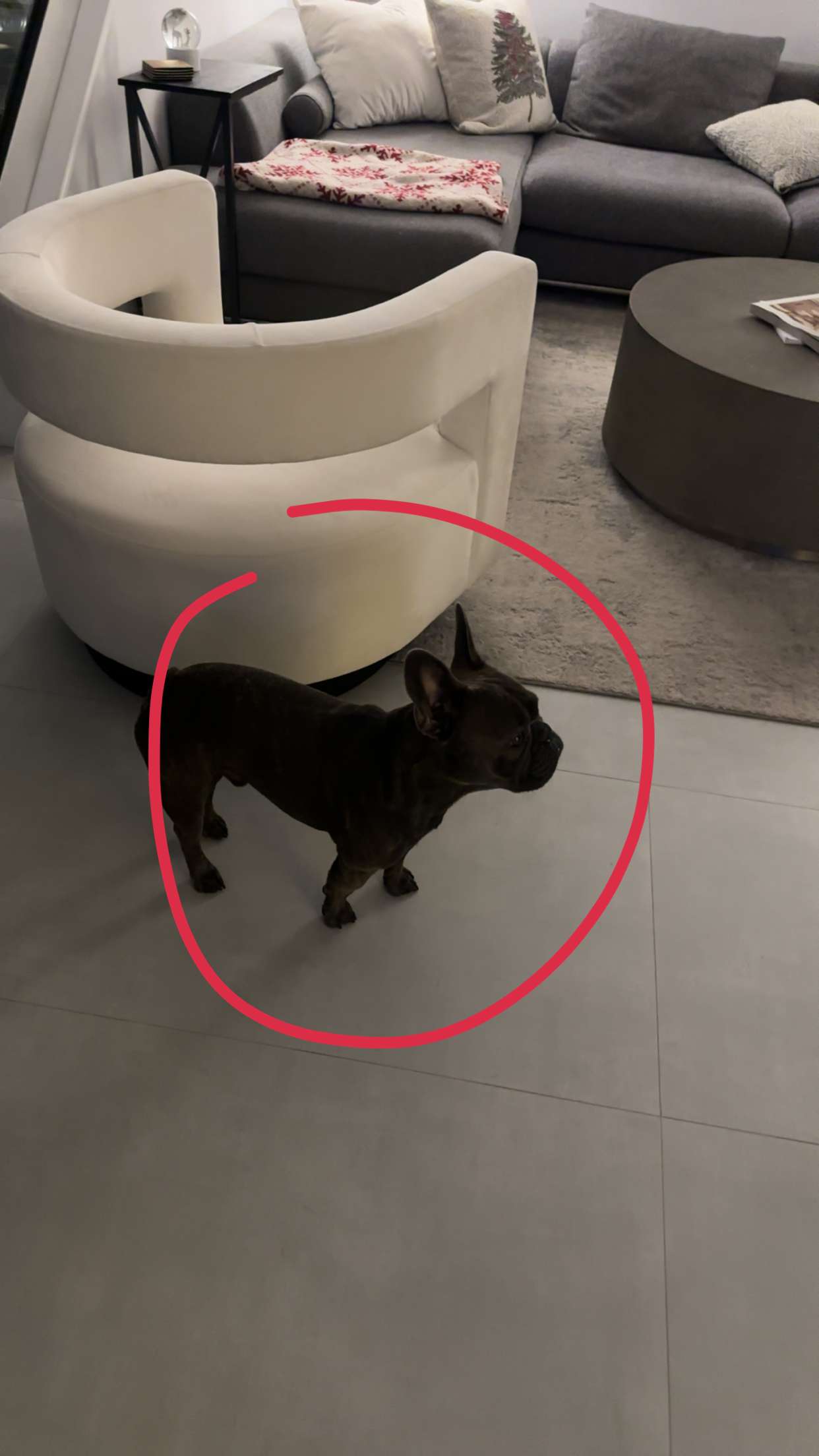 kylaayese snapchat image archive image