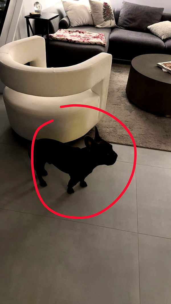 kylaayese image ~ Altpins