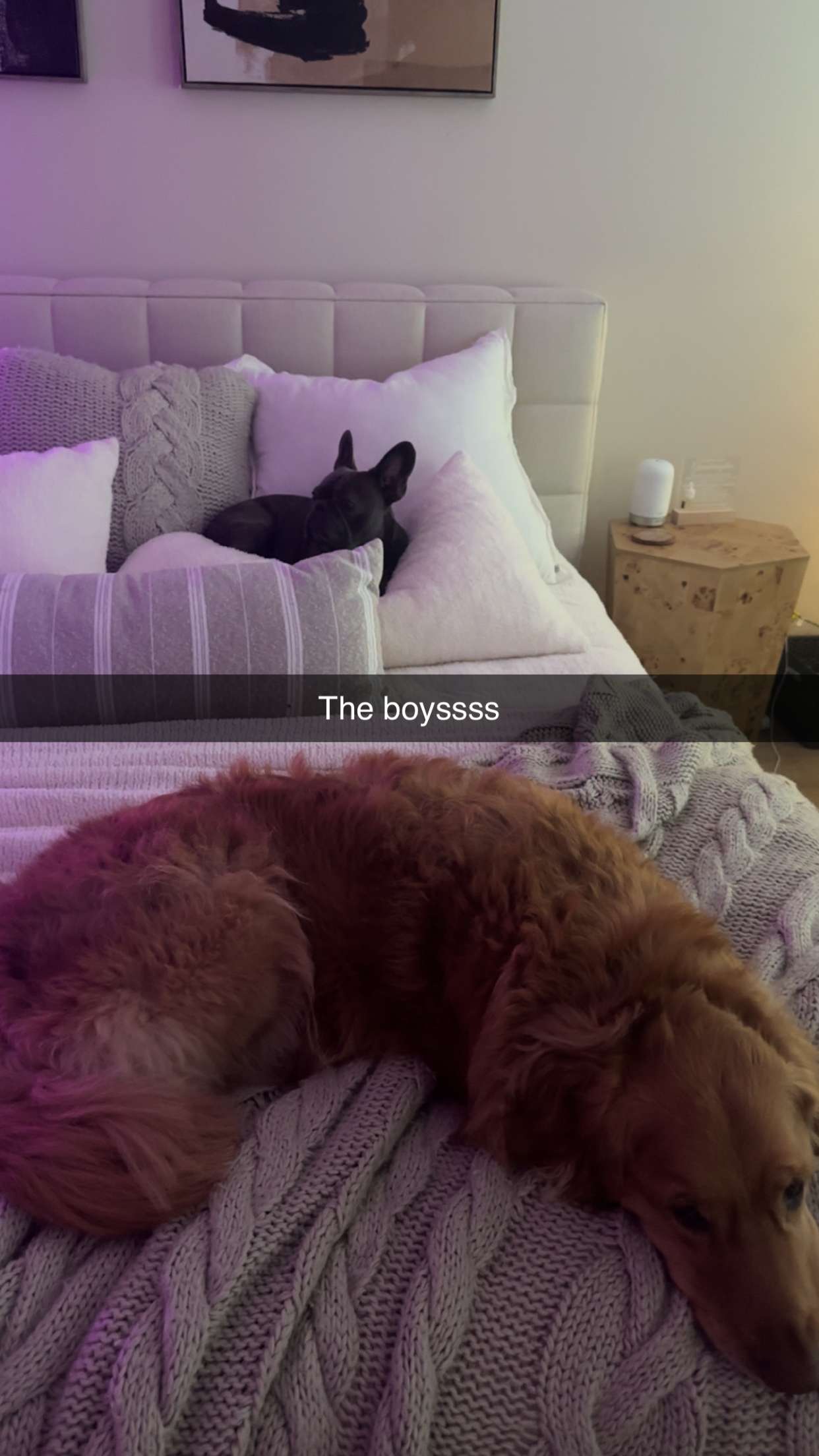 kylaayese snapchat image archive image