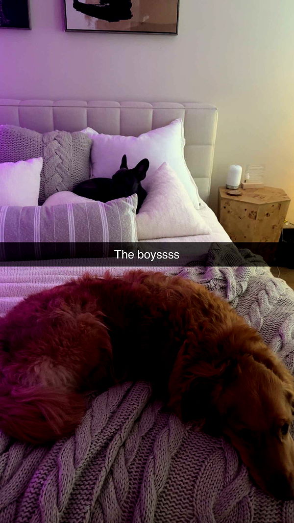 kylaayese image ~ Altpins